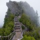 MMA的“下位防守”：柔术的致命威胁